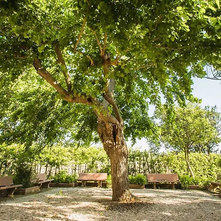 Isa-il Casale Di Donoratico, With Swimming-pool